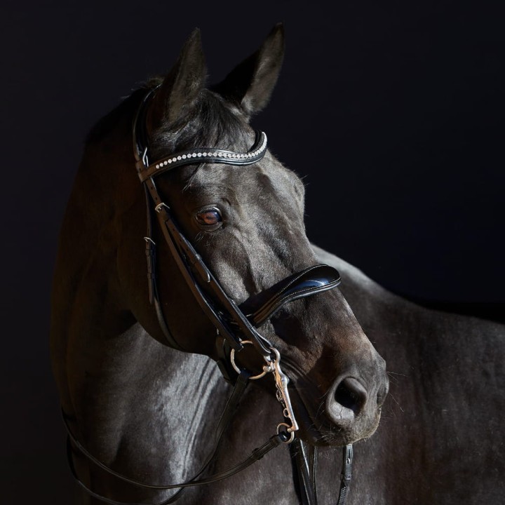 3155_kieffer_ultrasoft_amy_horse_0.jpg