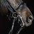 3155_kieffer_ultrasoft_amy_horse_1.jpg