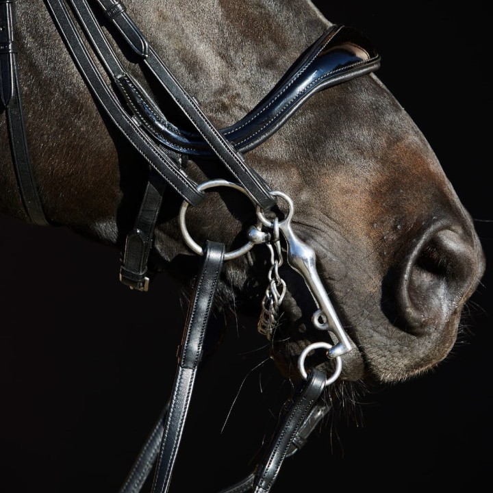 3155_kieffer_ultrasoft_amy_horse_1.jpg