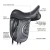 wc-dressage-ii-annotations_7efa0a38-ea4a-44ef-bd0b-62b60b5566f4_720x.webp