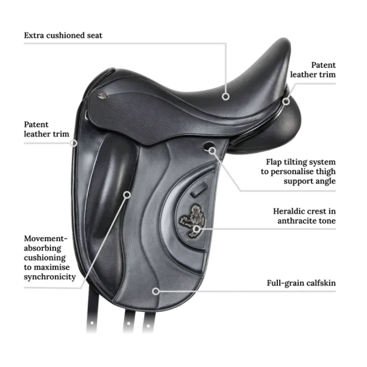 wc-dressage-ii-annotations_7efa0a38-ea4a-44ef-bd0b-62b60b5566f4_720x.webp