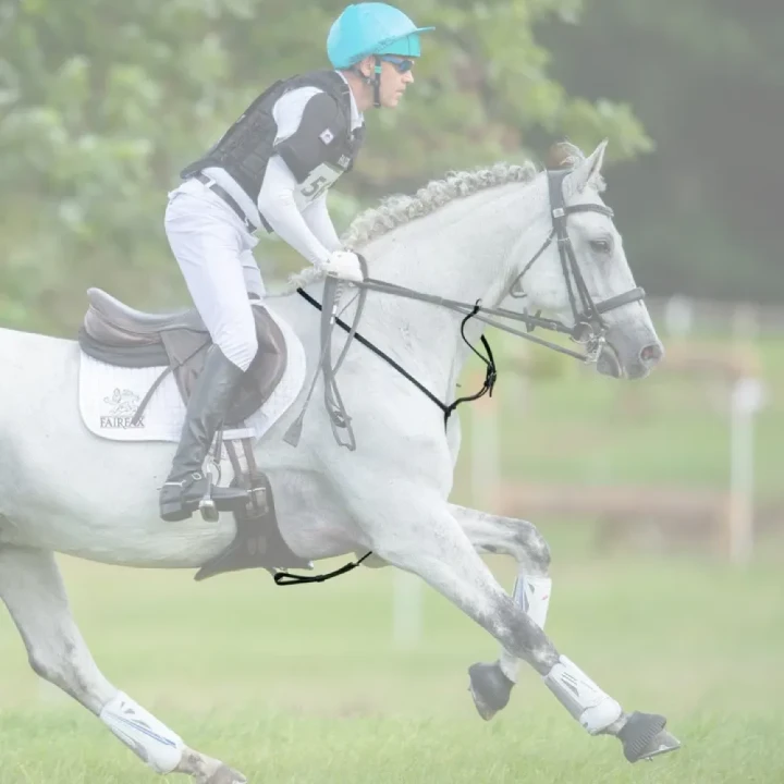 the-fairfax-martingale.1_f_720x.webp
