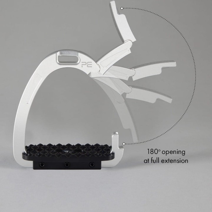 intego-safety-stirrup-silver-2.jpg