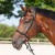 3141-kieffer-ultrasoft-kendra-horse-0-082ff39a.jpg