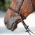 3141-kieffer-ultrasoft-kendra-horse-1-8c7c346b.jpg