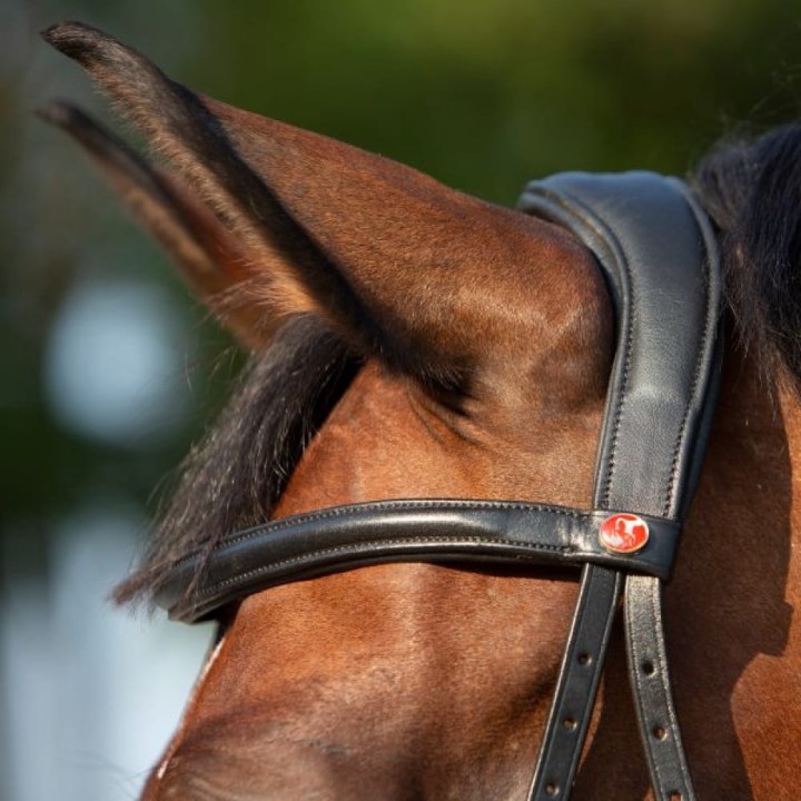 3141-kieffer-ultrasoft-kendra-horse-2-b544d845.jpg