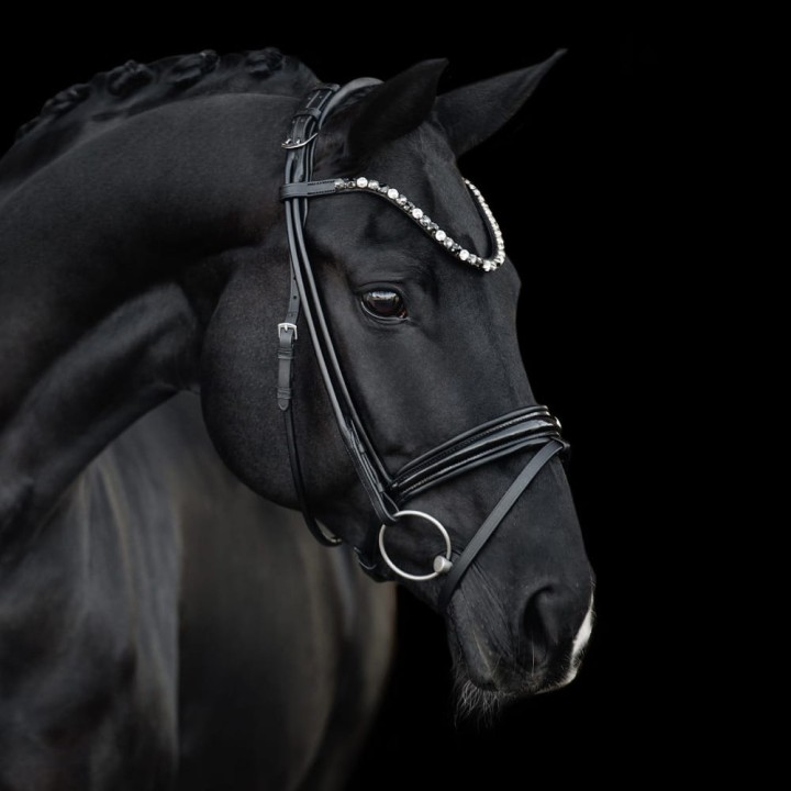 3171_elli_black_horse_1_web.jpg