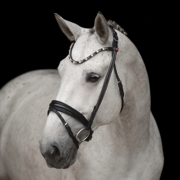 3171_elli_white_horse_1_web.jpg