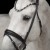 3171_elli_white_horse_2_web.jpg
