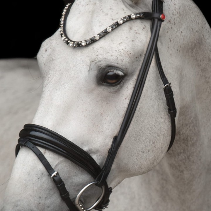 3171_elli_white_horse_2_web.jpg