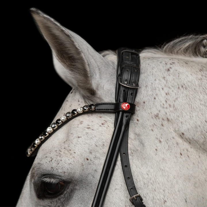 3171_elli_white_horse_3_web.jpg