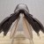 GFS_Monarch_Jump_17