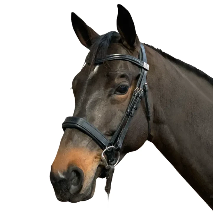 narrow-snaffle-cavesson_png_1ccc08b8-daea-41c2-9561-47ef9c0ac6e2.webp
