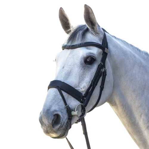 snaffle-flash.webp