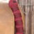 stay-up-horse-tail-guard-burgundy.jpg