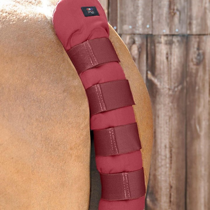 stay-up-horse-tail-guard-burgundy.jpg