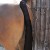 padded-horse-tail-guard-with-tail-bag-black.jpg