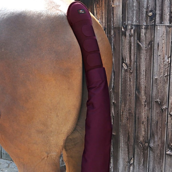 padded-horse-tail-guard-with-tail-bag-burgundy.jpg