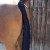 padded-horse-tail-guard-with-tail-bag-navy.jpg