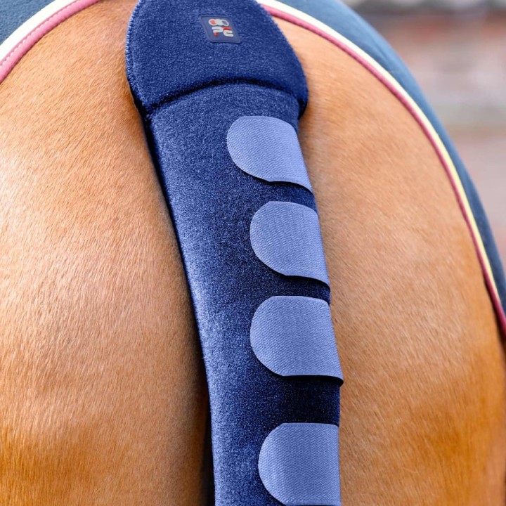 anti-slip-padded-tail-guard-navy.jpg
