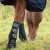 Turnout-Mud-Fever-Boots-3.jpg