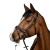 3138-vera-new.png