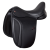 ThorowgoodT9Dressage.png