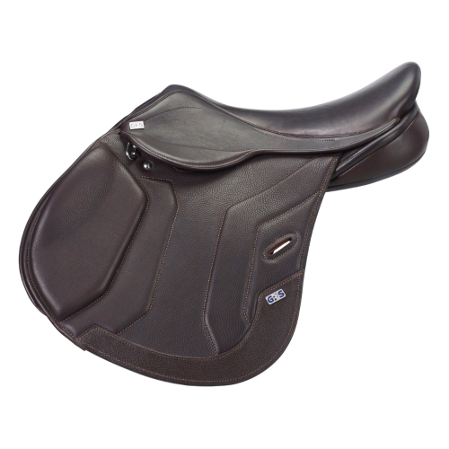 GFS_PREMIER_JUMP_REG