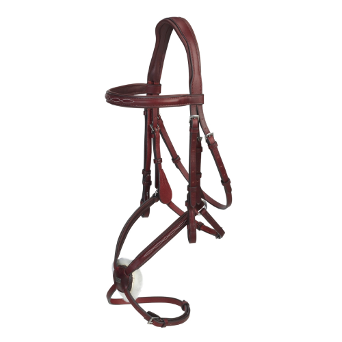 Gracke_GFS_Brown