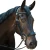 snaffle-drop.webp