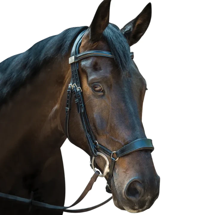 snaffle-drop.webp