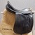 Prestige_Dream_Dressage_18
