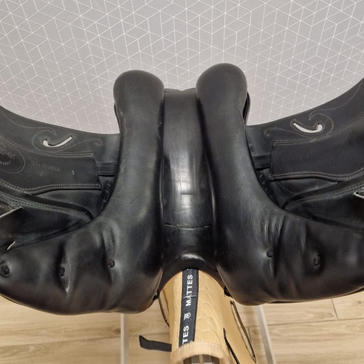 Prestige_Dream_Dressage_18
