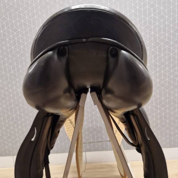 Prestige_Dream_Dressage_18