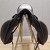 Prestige_Dream_Dressage_18