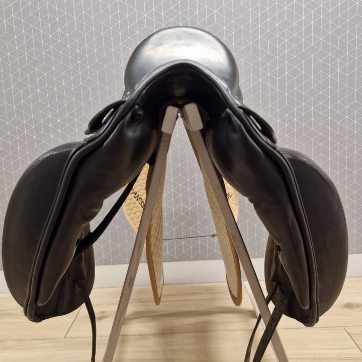 Prestige_Dream_Dressage_18
