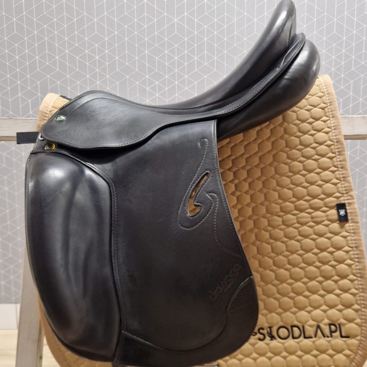 Prestige_Dream_Dressage_18