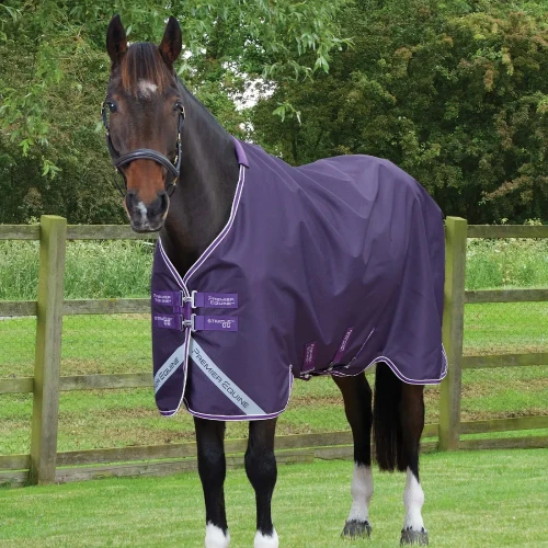 stratus-600-series-original-turnout-rug-purple-1_1600x.webp