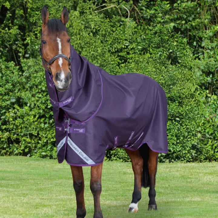 stratus-600-with-classic-neck-cover-purple-1_1cdfeb7e-85e7-4829-9387-cddd8b0ea786_1600x.webp