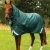stratus-1200-series-100g-turnout-rug-with-classic-neck-cover-green-1_2751d48f-b5f4-4d39-ade3-74067a4cdc92-461970_1600x.webp