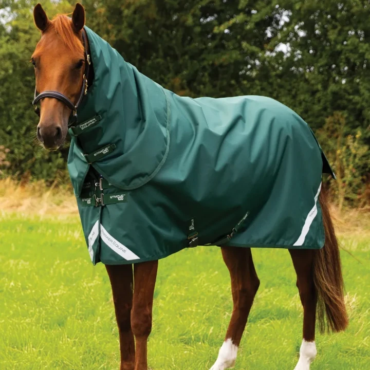 stratus-1200-series-100g-turnout-rug-with-classic-neck-cover-green-1_2751d48f-b5f4-4d39-ade3-74067a4cdc92-461970_1600x.webp