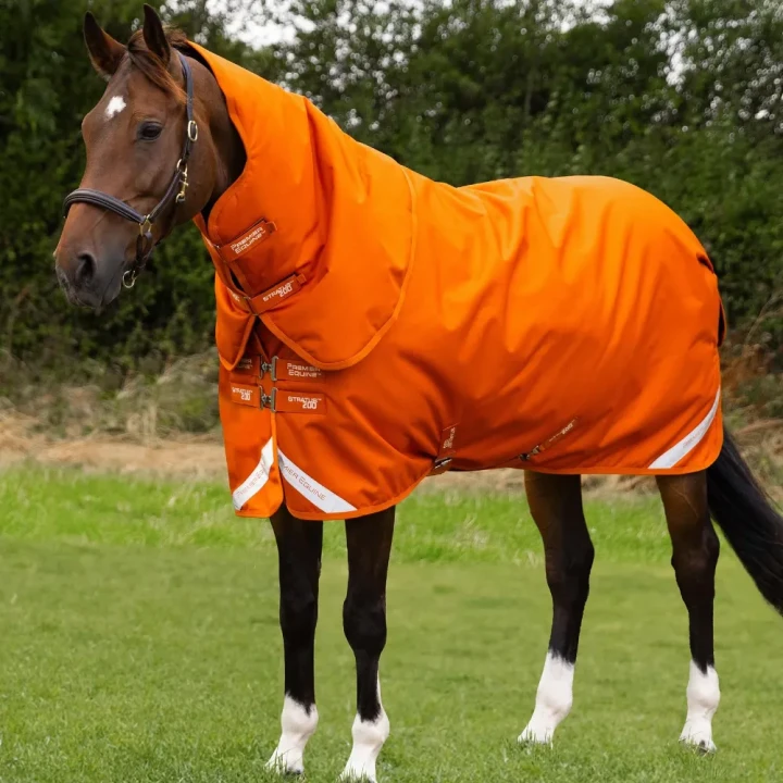 stratus-1200-series-200g-turnout-rug-with-classic-neck-cover-burnt-orange-1_efd3a814-e11a-4846-99c0-2c0f699199af-459624_1600x.webp