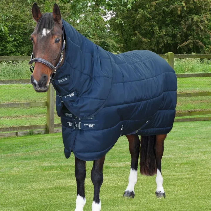 stratus-stable-rug-200g-with-neck-cover-navy-1_5ae99b77-83ac-46e2-8edd-3382b54d4b9b-535686_1600x.webp