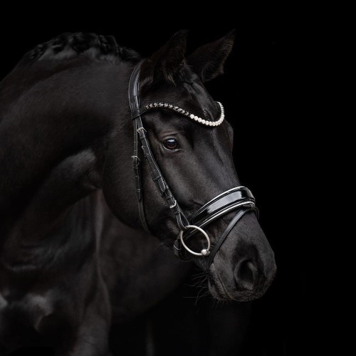 3173_nora_horse_1_web.jpg