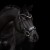 3173_nora_horse_1_web.jpg
