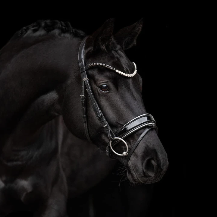 3173_nora_horse_1_web.jpg