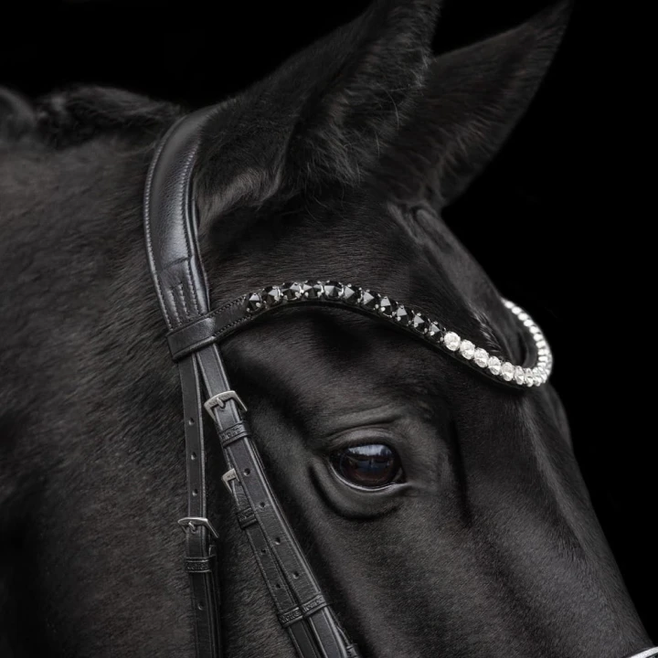 3173_nora_horse_2_web.jpg