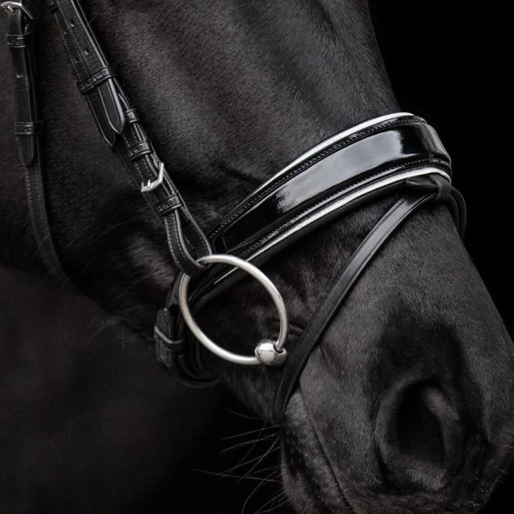 3173_nora_horse_3_web.jpg