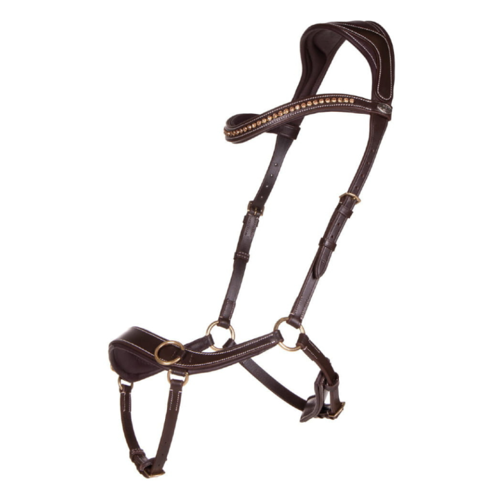 Anatomical QHP Brown