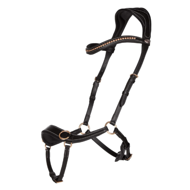 Anatomical QHP Black